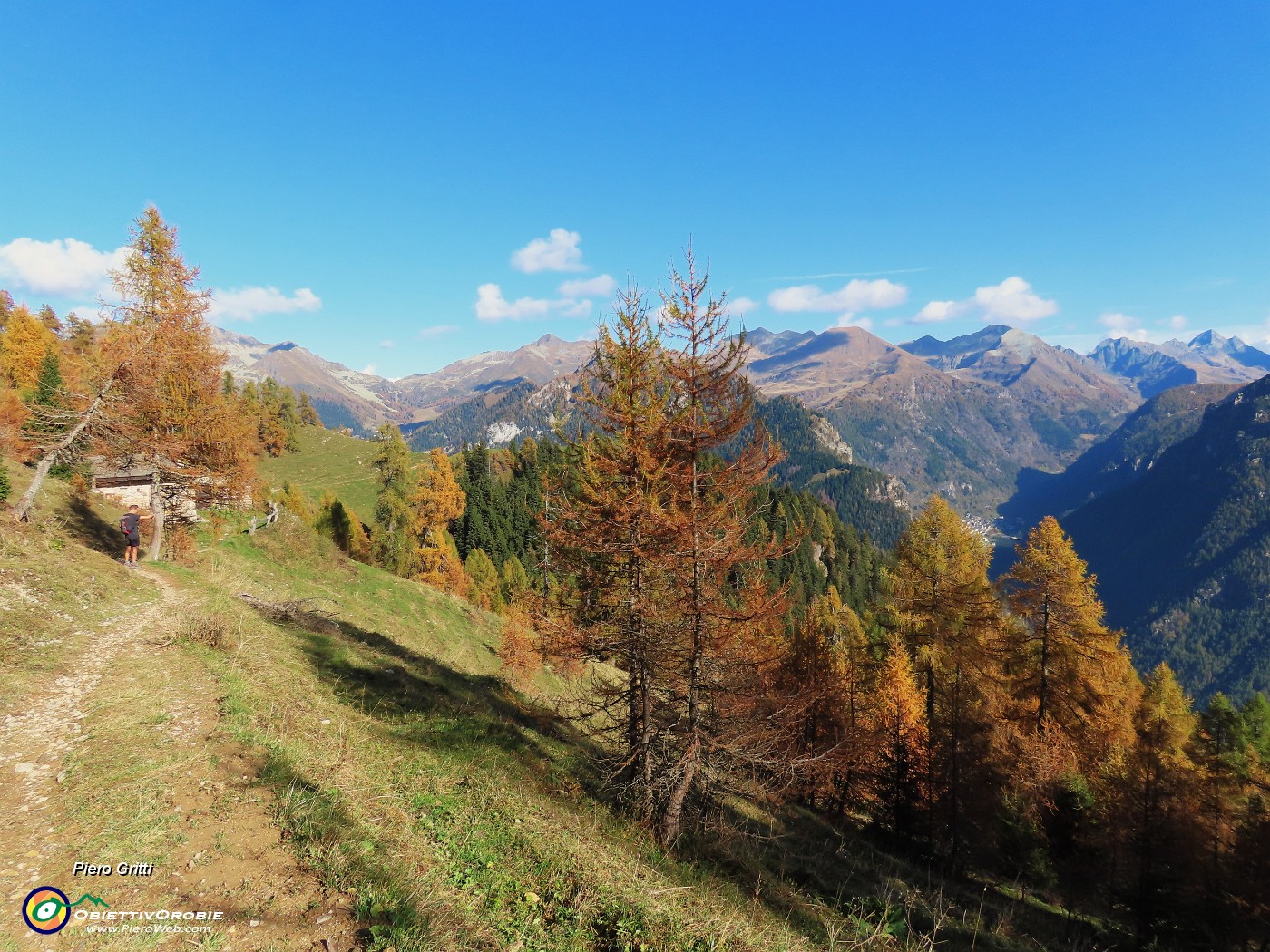 33 Splendenti larici in veste autunnale.JPG